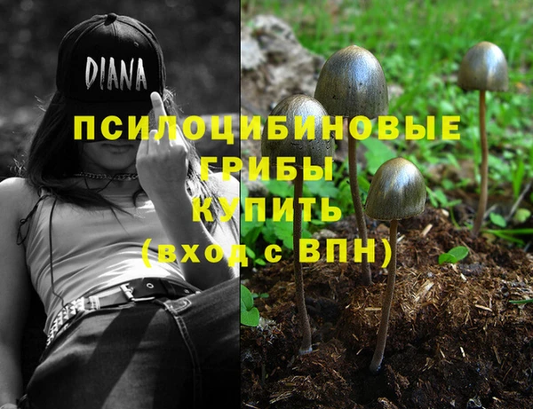 jwh Бугульма