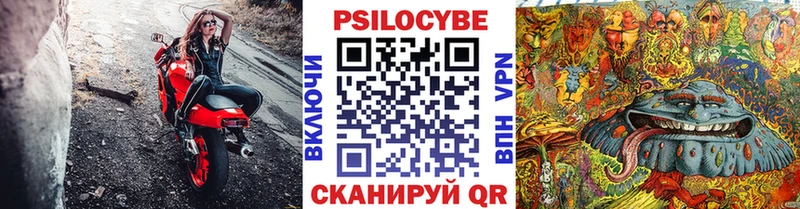 omg ONION  Комсомольск  Галлюциногенные грибы Magic Shrooms 